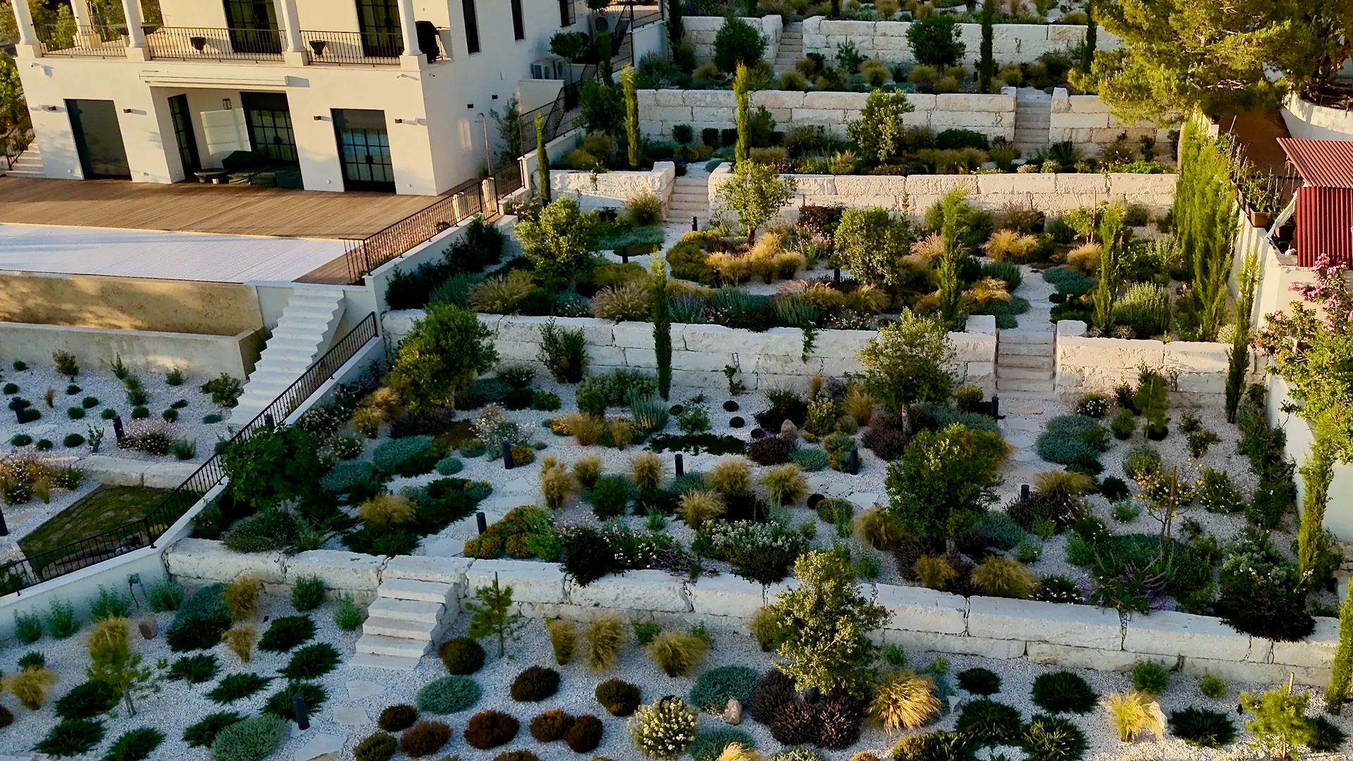 After: finished garden terraces in Paphos — gravel beds of Mediterranean shrubs, grasses, olive trees and cypresses between stone walls