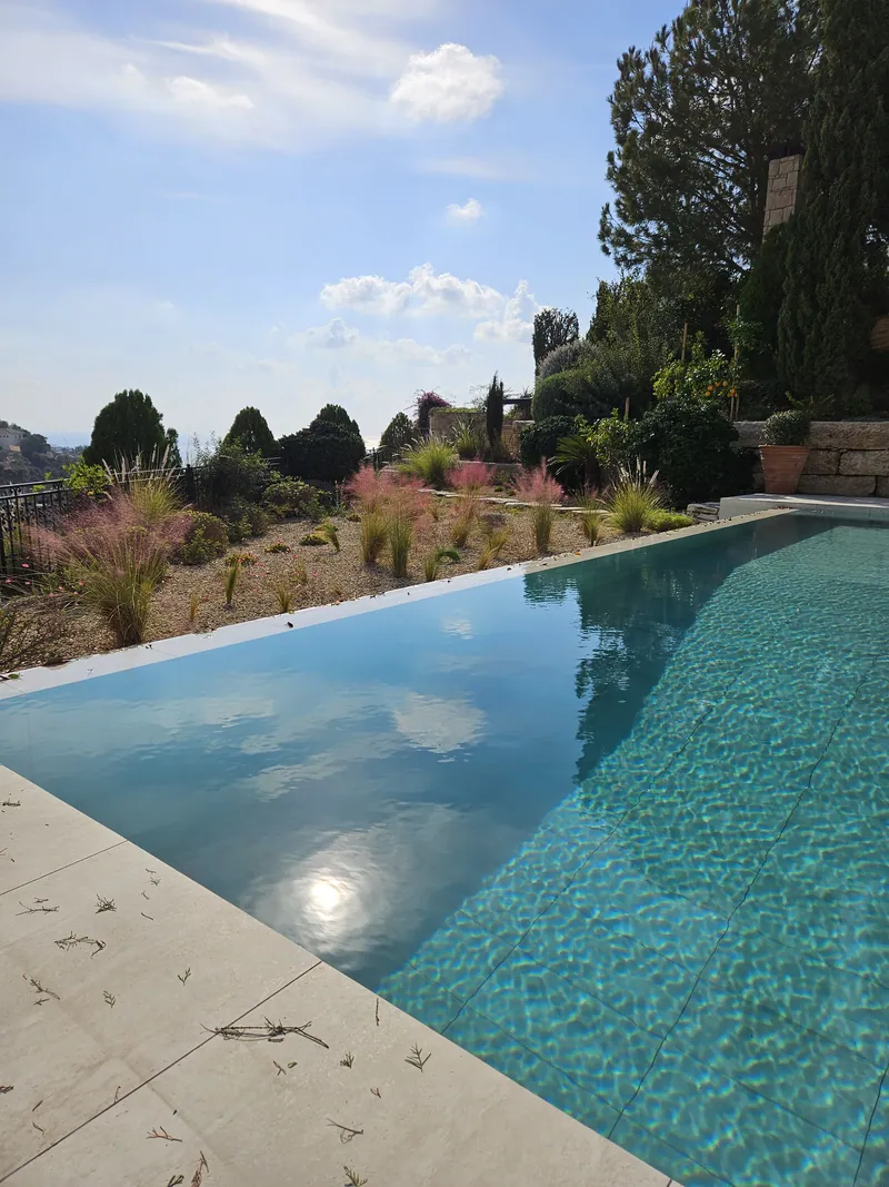 The infinity pool above the planted slope, the valley beyond