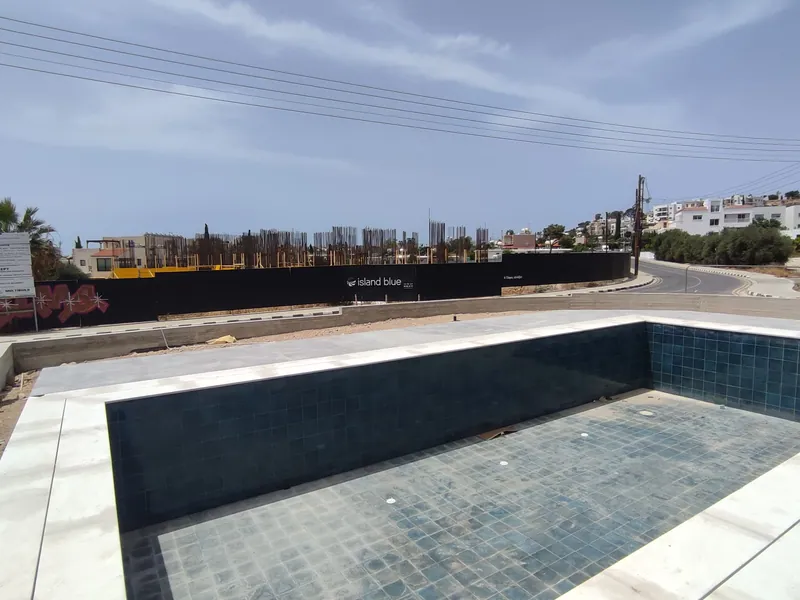 Before: the new pool with bare ground around it