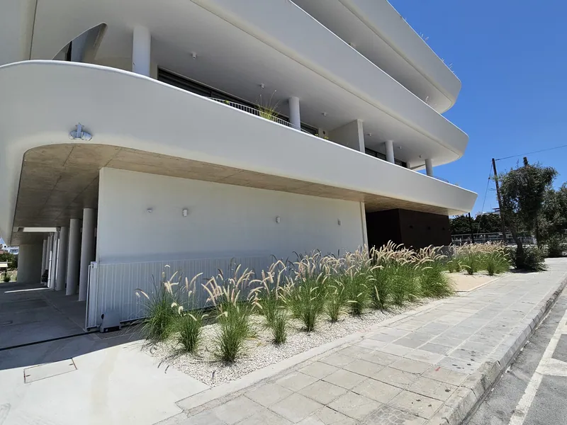 Fountain grass along the street under the curved white balconies of the building