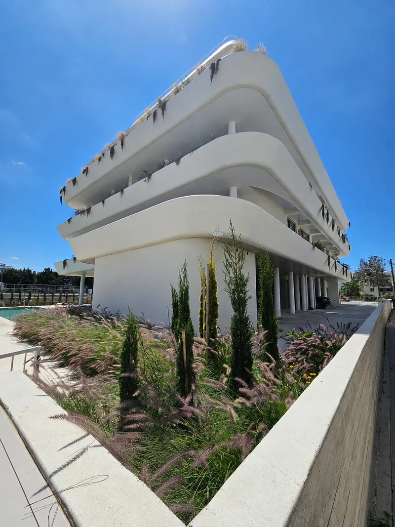 Cypresses and grasses in a raised bed along the building