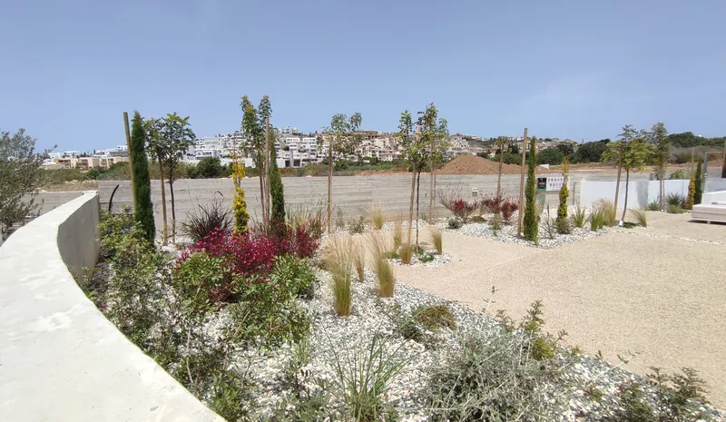 A curved bed of grasses, red-leaved shrubs and young trees in white gravel beside the courtyard