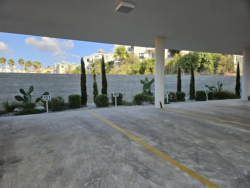 Cypresses, prickly pears and shrubs along the wall of the covered parking