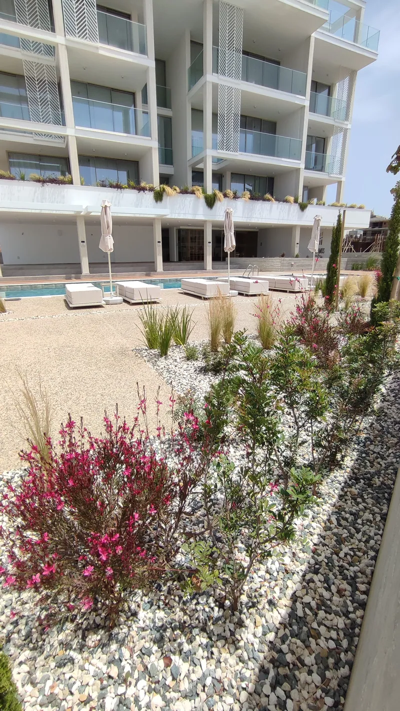 Flowering shrubs in a bed of white gravel beside the pool terrace