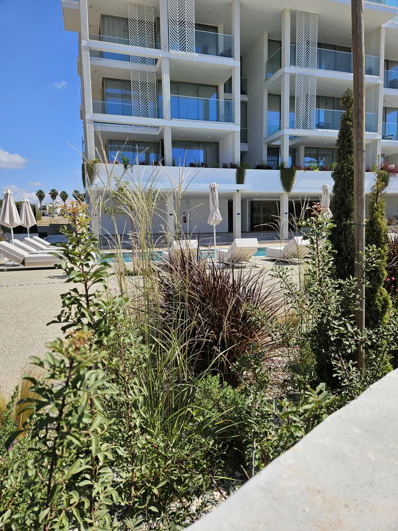 Grasses, shrubs and cypresses in a raised bed below the building