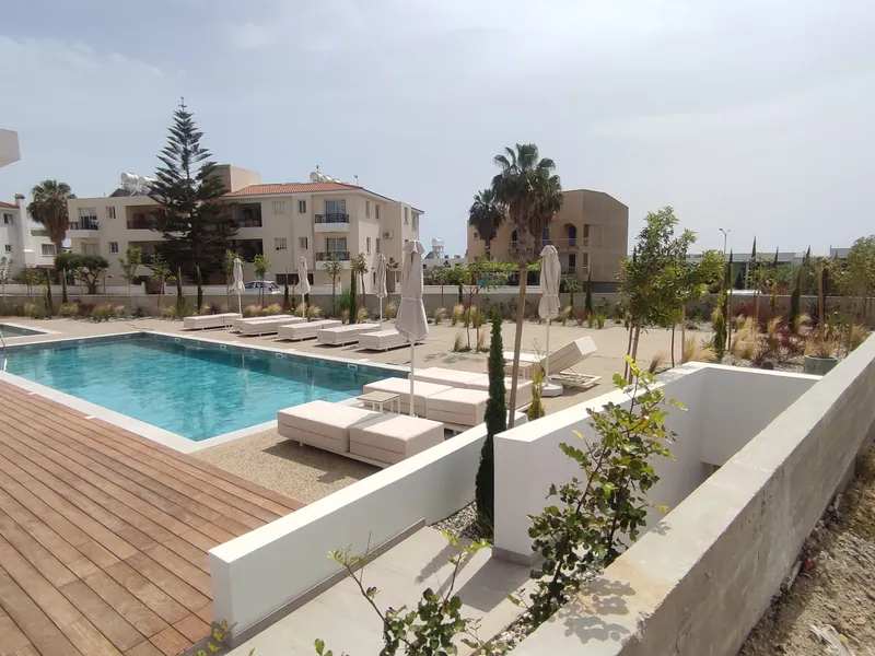 After: the finished pool with its timber deck and loungers, framed by planted beds