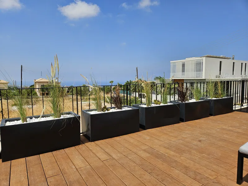 Grasses in black planters along the edge of a timber deck, the sea beyond