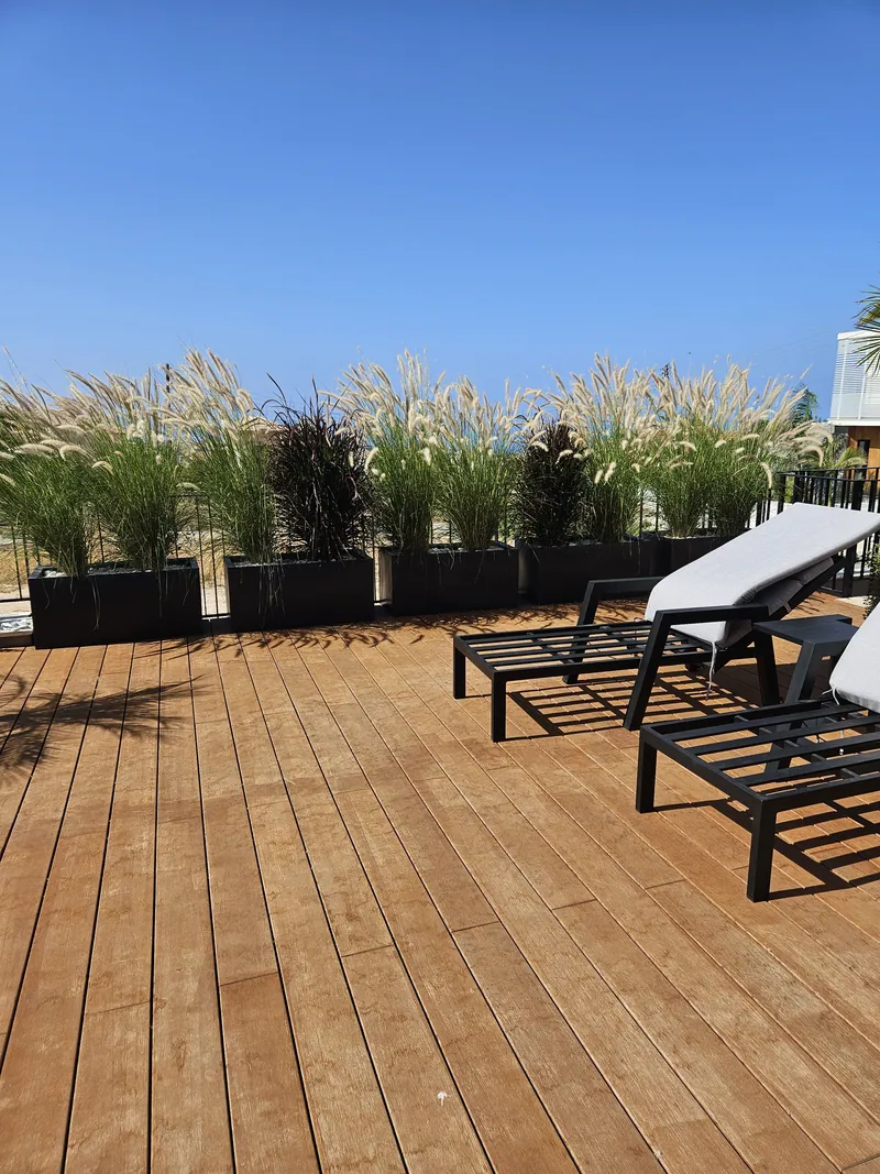 Feathery grasses in planters along a timber deck with loungers