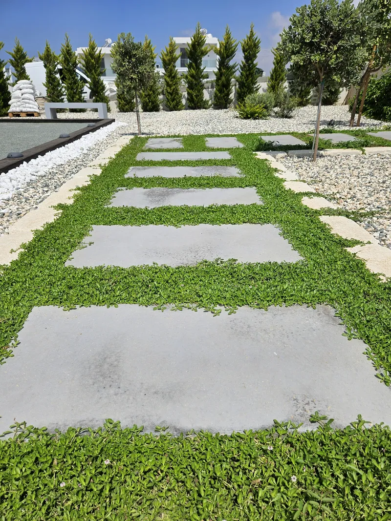 Large square paving stones set in bright green ground cover
