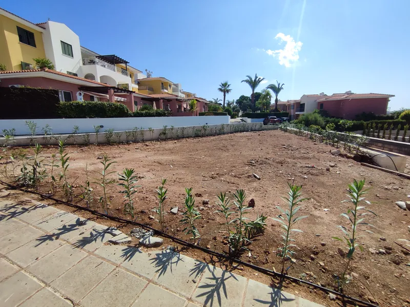 Before: bare red earth and young plants along the path, the neighbouring houses beyond