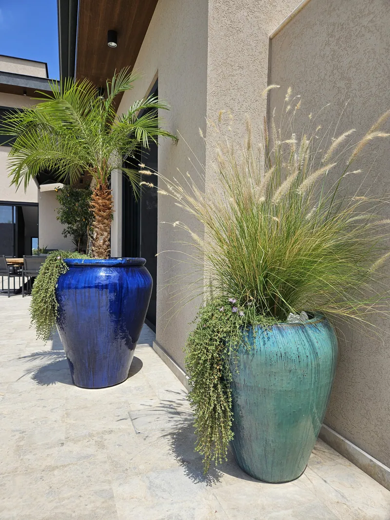 A palm and fountain grass in large glazed pots, blue and turquoise, on the terrace