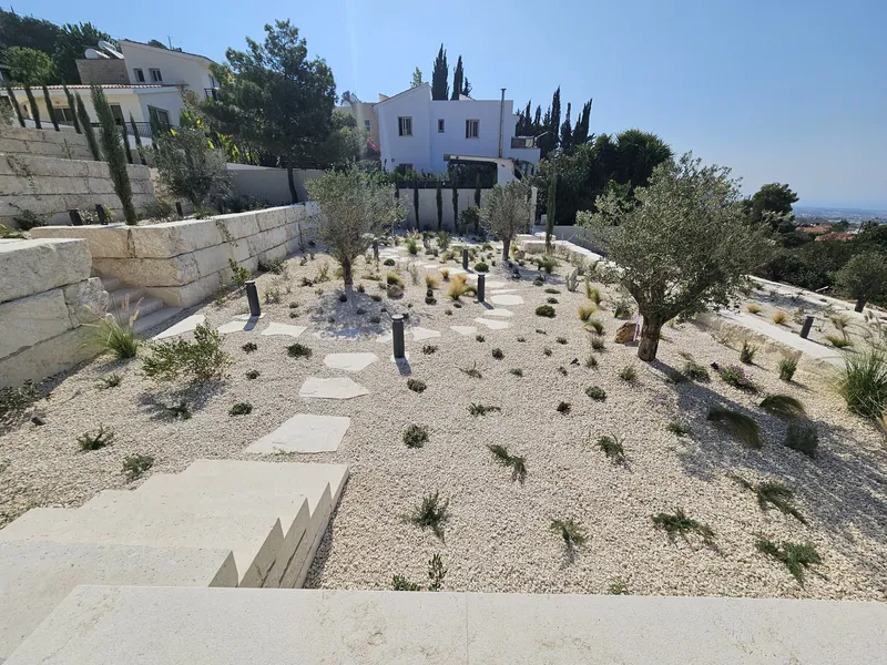 Stepping stones down a terrace of white gravel planted with young olive trees and grasses, between limestone-block walls