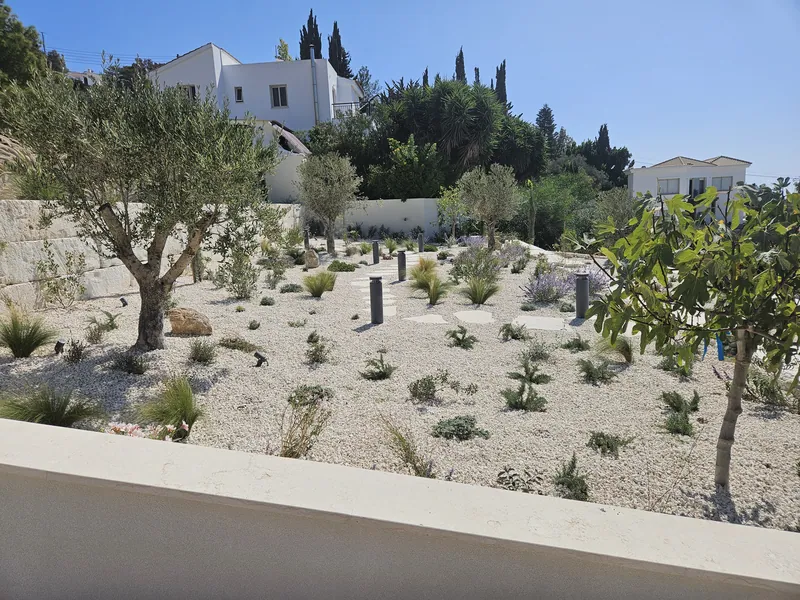 Olive trees and young plants in white gravel on a terrace, with garden lights along the way