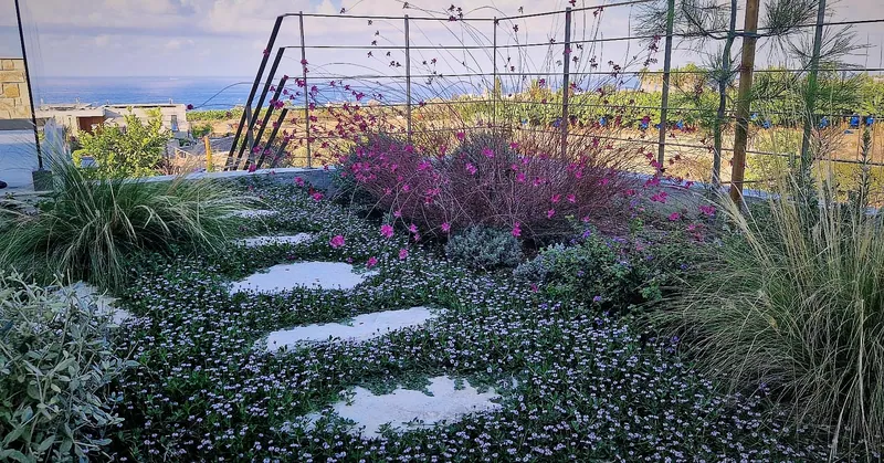 Pink flowers and grasses around stepping stones set in flowering ground cover, the sea beyond