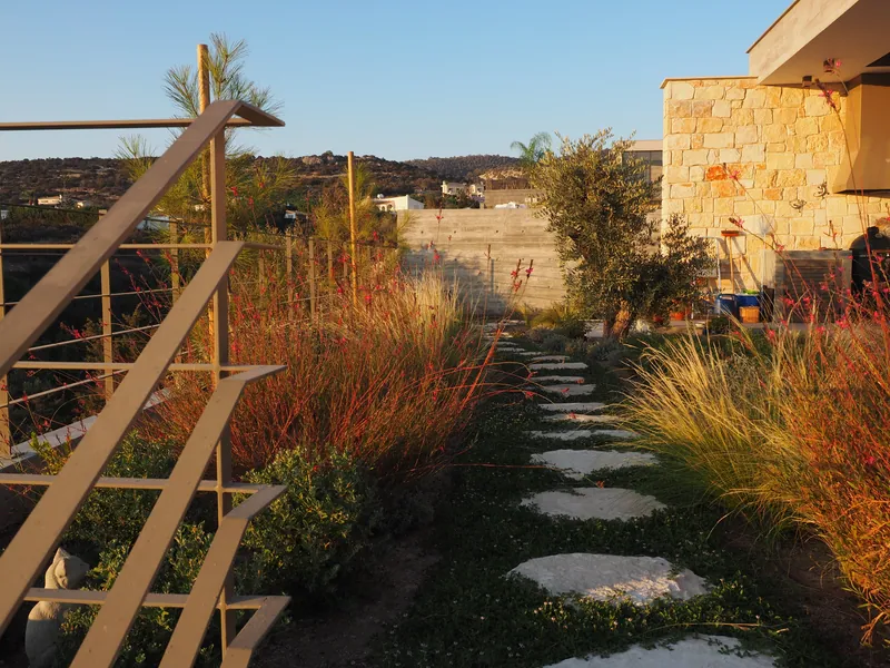 The stepping-stone path in the evening light, between red-flowering shrubs and grasses