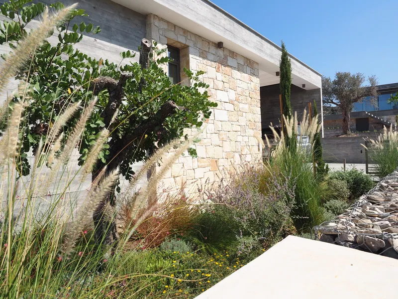 An old carob tree and fountain grass beside the stone-clad house