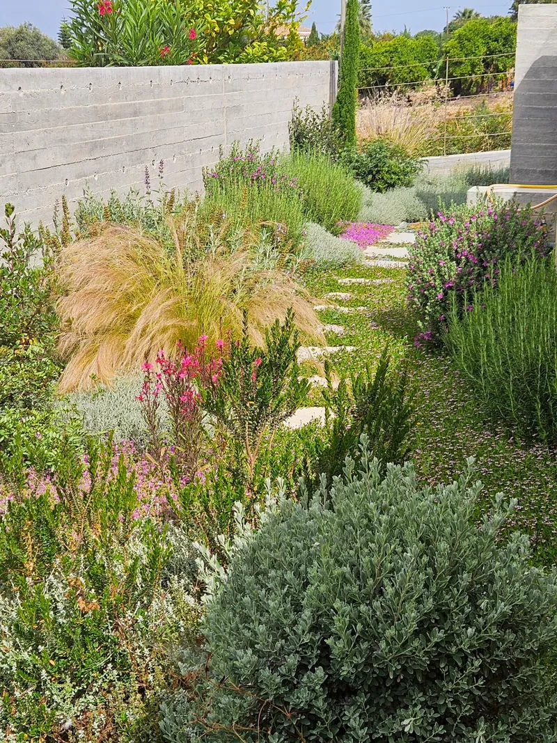 Grasses and flowering shrubs along a stepping-stone path in spring