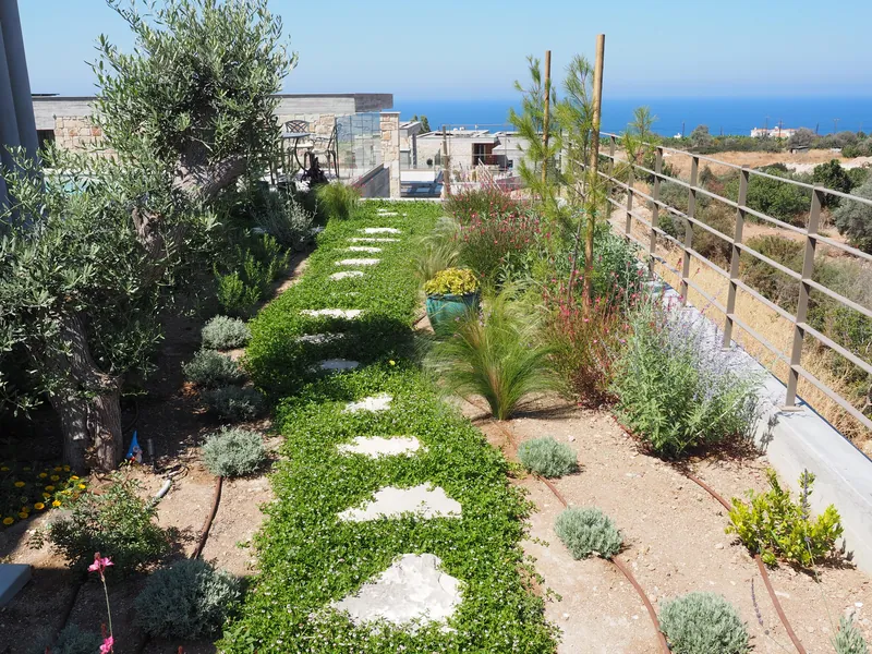 After: stepping stones through green ground cover between shrubs and grasses, the sea beyond