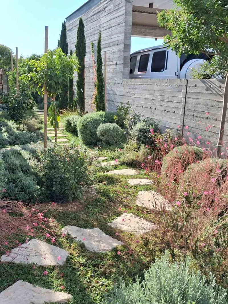 After: stepping stones through flowering shrubs, gaura and grasses between the house and the wall