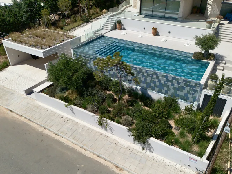 A mosaic-tiled pool above a planted bed of olive trees, shrubs and grasses along the street