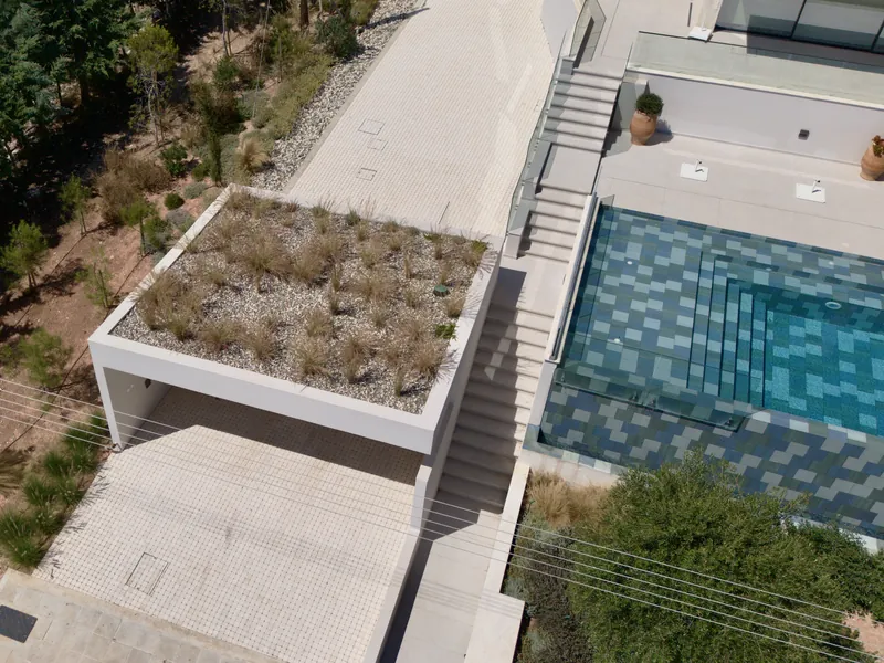 A roof planted with grasses beside the stairs up to the pool
