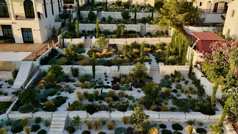 Stepped terraces with stone walls and stairs, planted with grasses and shrubs in white gravel