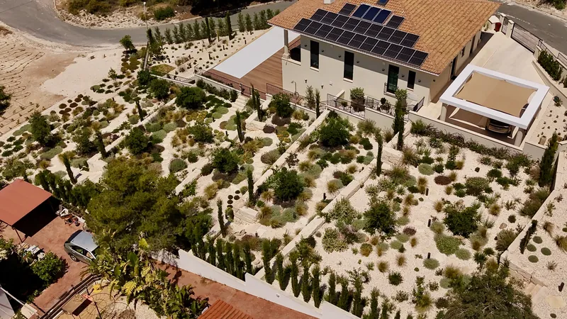 The house among terraces of gravel and planting, with a row of cypresses along the boundary wall
