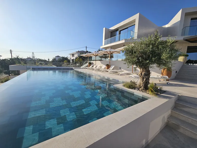 The long pool with an old olive tree in a planter and loungers under parasols beside the house
