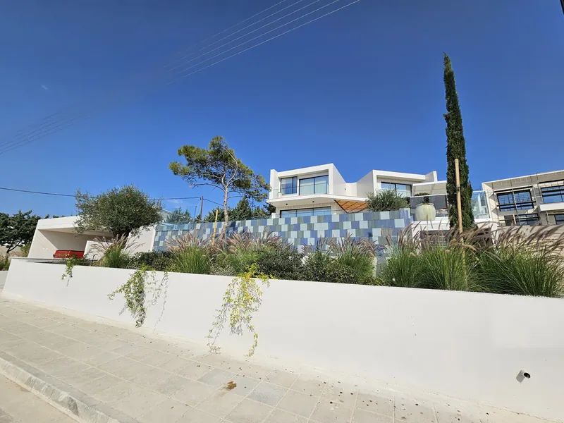 After: the bed along the street planted with grasses, the house and its mosaic-tiled pool wall above