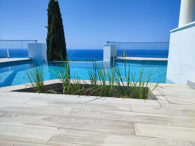 Grasses in a planter at the edge of the infinity pool, the sea beyond