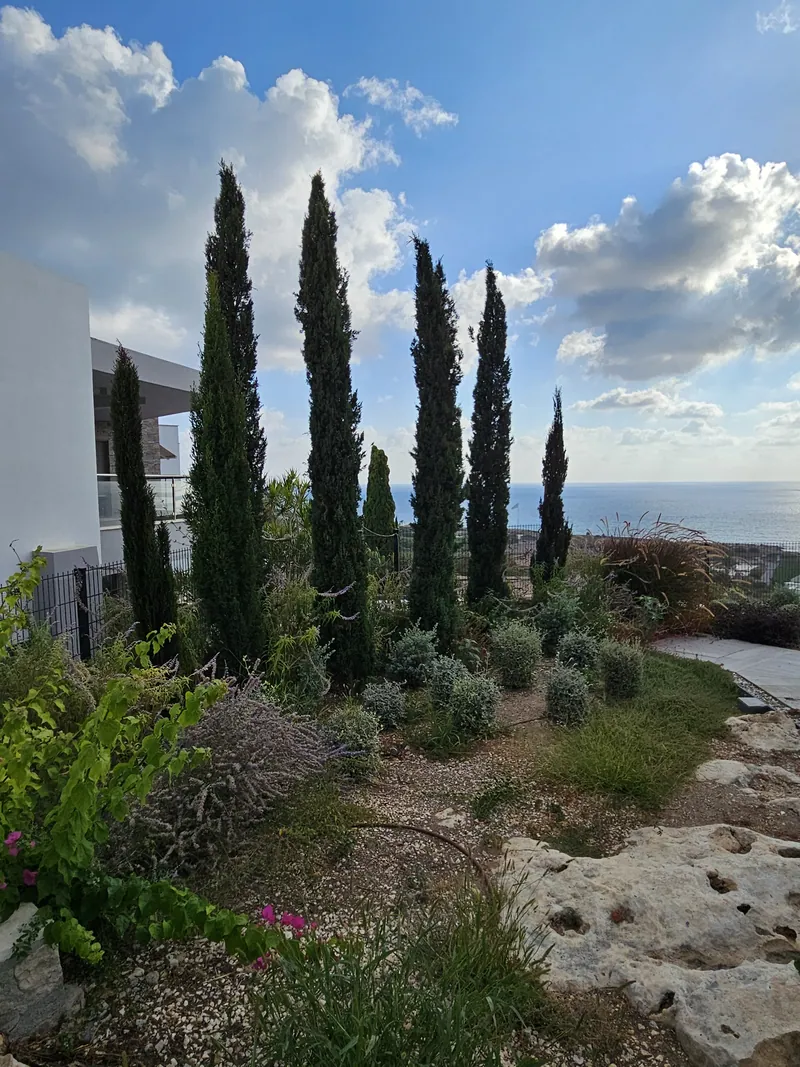 Cypresses and shrubs among the rocks on the slope, the sea beyond