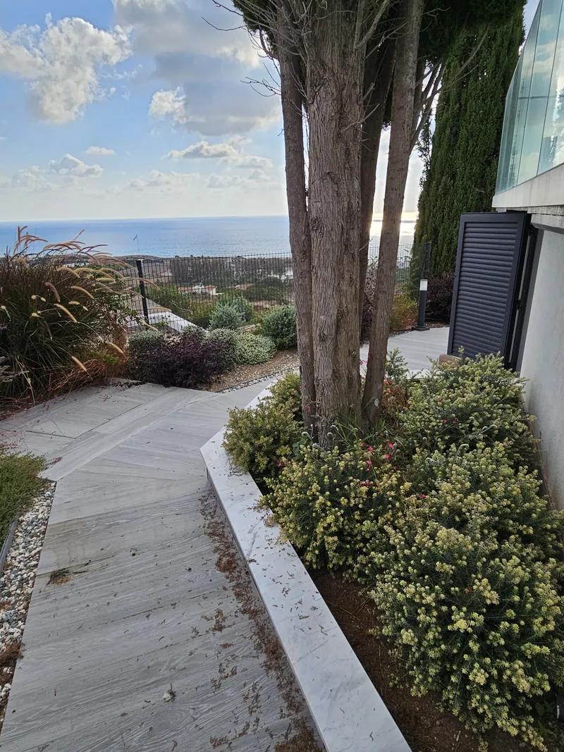 A path beside a raised bed of flowering shrubs under tall trees, the sea beyond