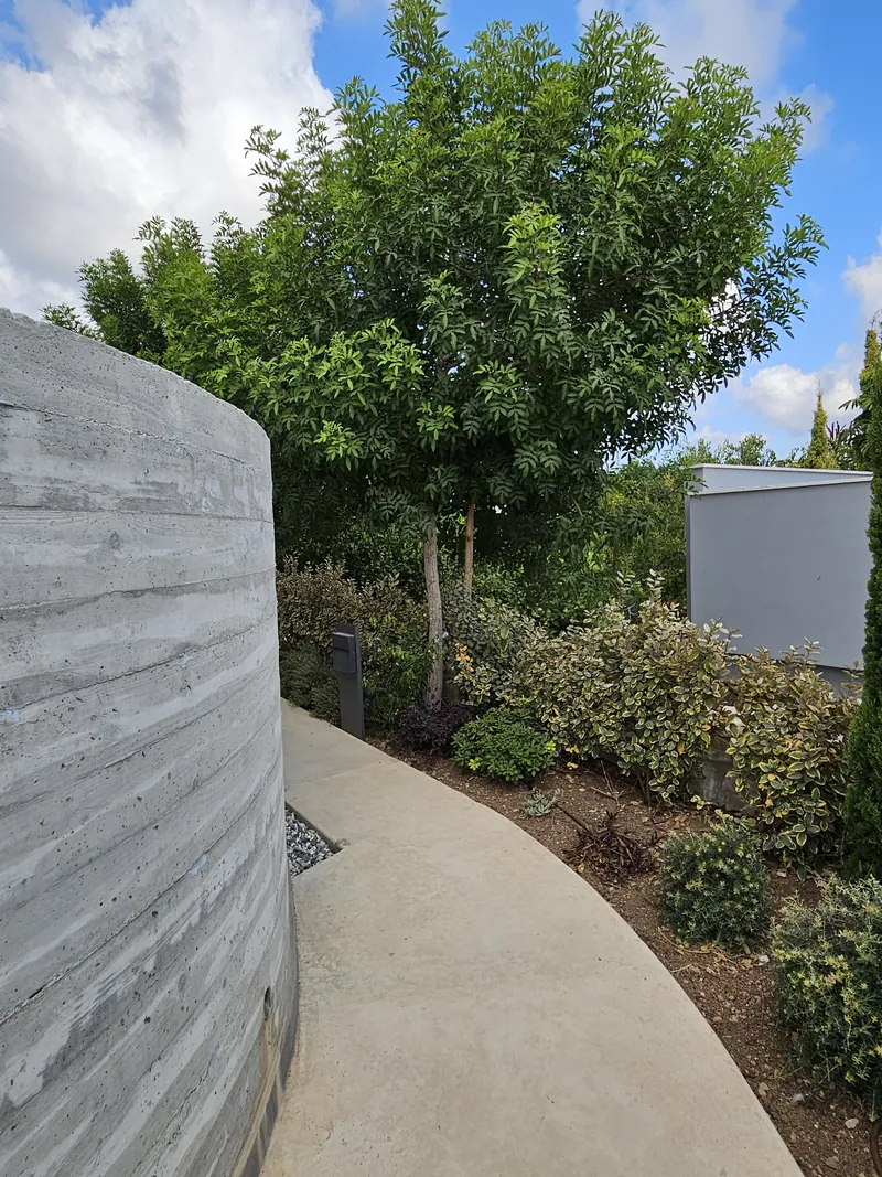 A curved path along a board-formed concrete wall, lined with shrubs and young trees