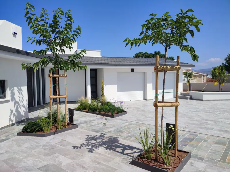 After: the planters with young trees, grasses and flowers