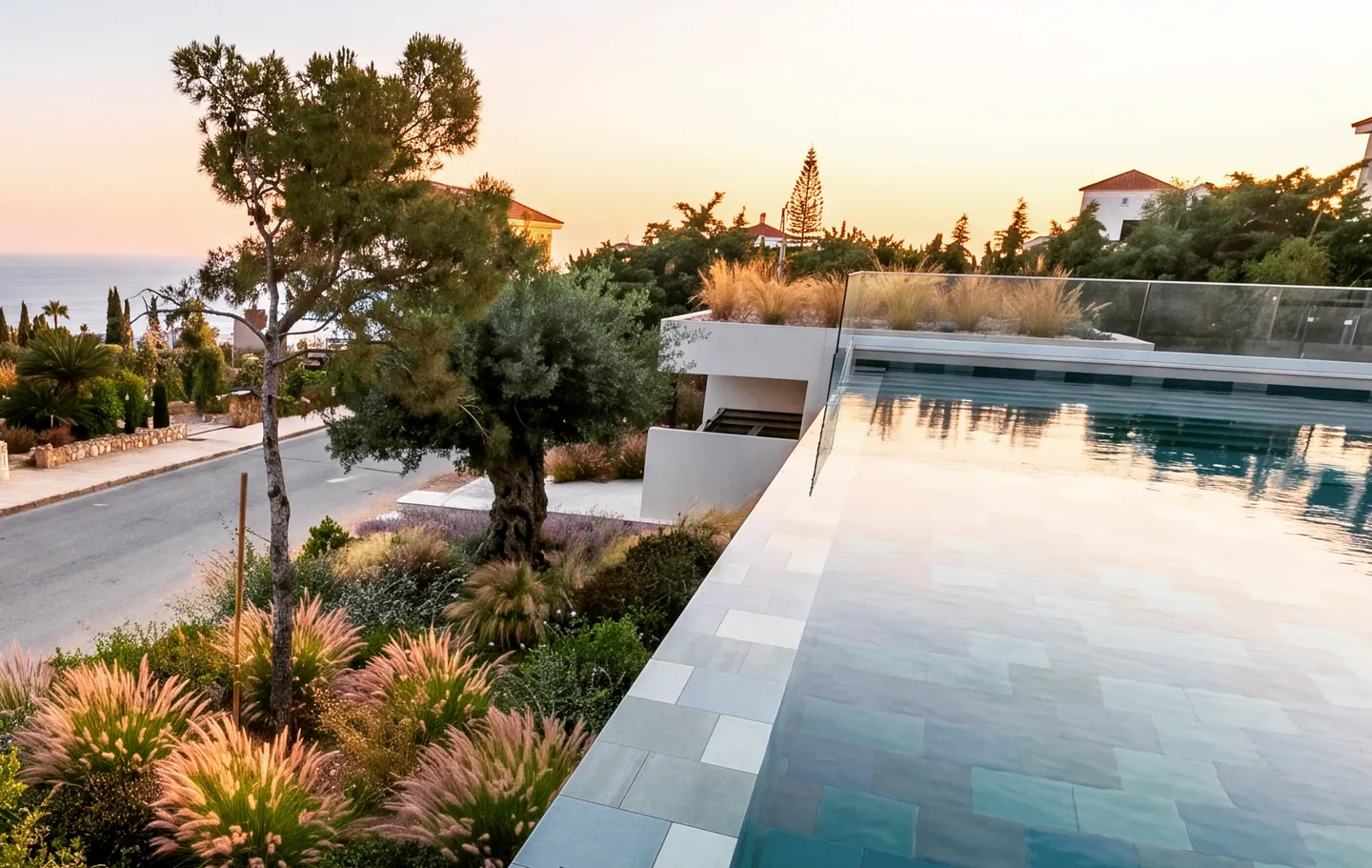 Mediterranean garden design in Paphos, Cyprus: an infinity pool edged with ornamental grasses, an olive tree and a pine at sunset, with the sea beyond