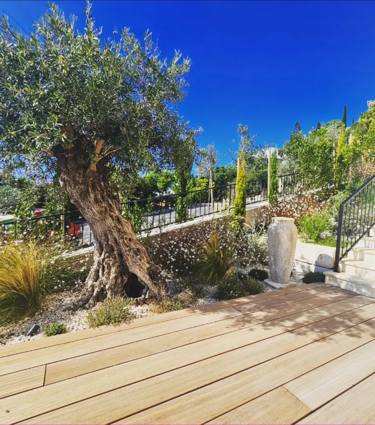 Paphos garden by Antoine: an old olive tree over a timber deck, with ornamental grasses and a stone urn