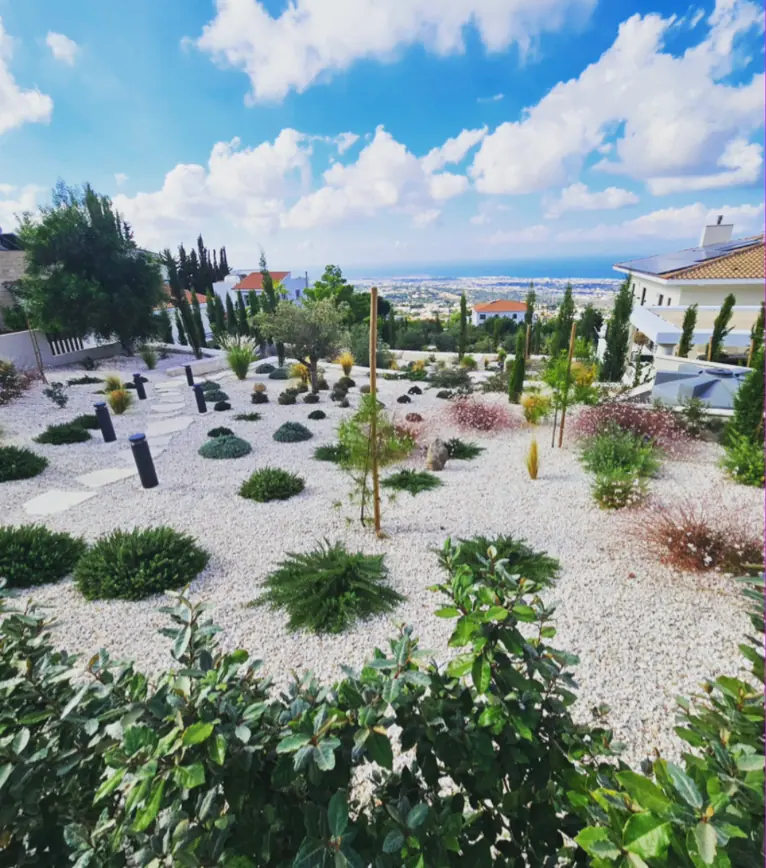 Low-water gravel garden of rounded shrubs and young trees overlooking Paphos and the sea