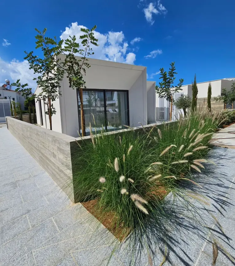 Modern villa planting in Paphos: fountain grass in a concrete planter in front of a white house