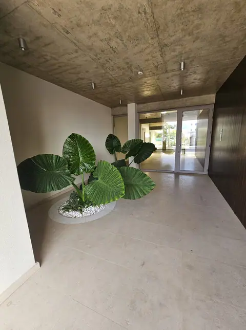 A communal garden designed by Antoine Garden Designer, Paphos — details