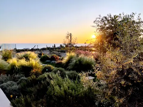 A private garden designed by Antoine Garden Designer, Paphos