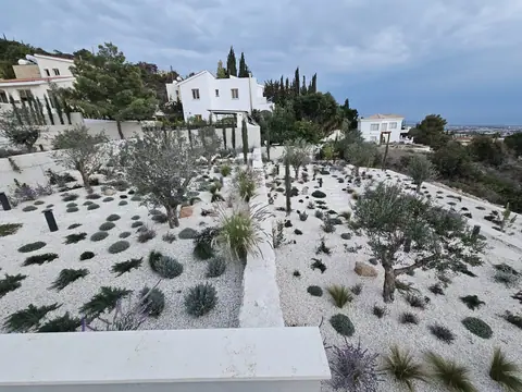 A private garden designed by Antoine Garden Designer, Paphos — olive trees