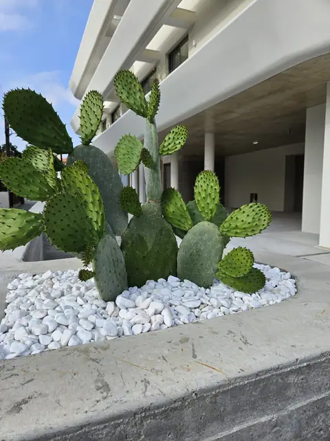 A communal garden designed by Antoine Garden Designer, Paphos — details