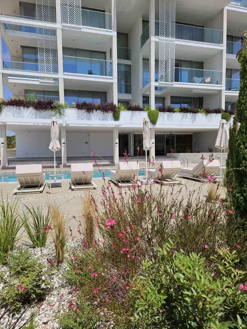 A communal garden designed by Antoine Garden Designer, Paphos — flowers, pools & sea