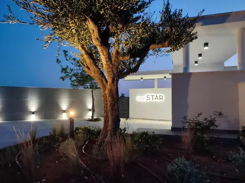 A private garden designed by Antoine Garden Designer, Paphos — olive trees, by night, its irrigation in view