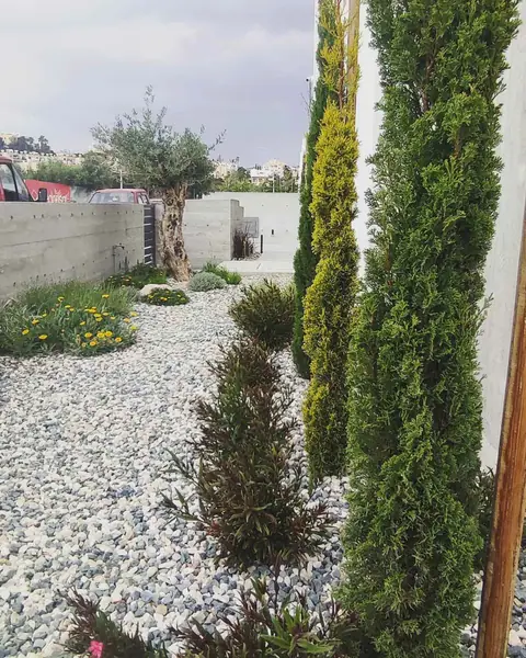 A private garden designed by Antoine Garden Designer, Paphos