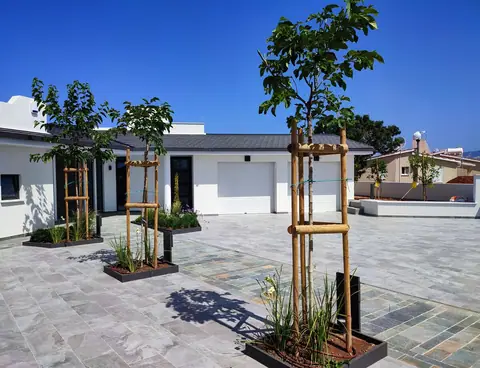 A private garden designed by Antoine Garden Designer, Paphos