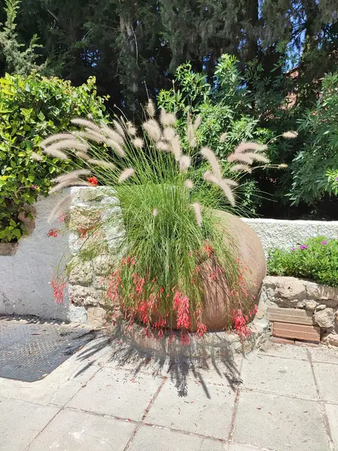 A private garden designed by Antoine Garden Designer, Paphos — grasses, details
