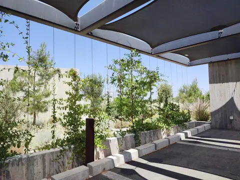 A private garden designed by Antoine Garden Designer, Paphos
