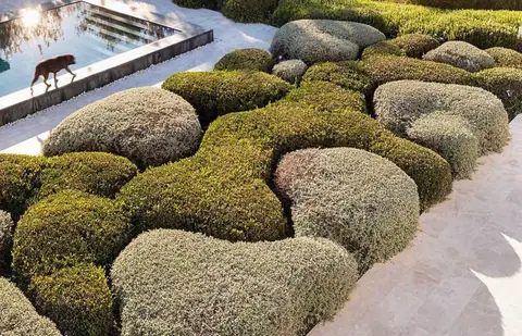 A private garden designed by Antoine Garden Designer, Paphos — details