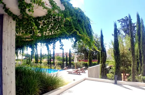 A private garden designed by Antoine Garden Designer, Paphos — pools & sea